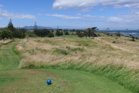 �j���[�W�[�����h�̃S���t��