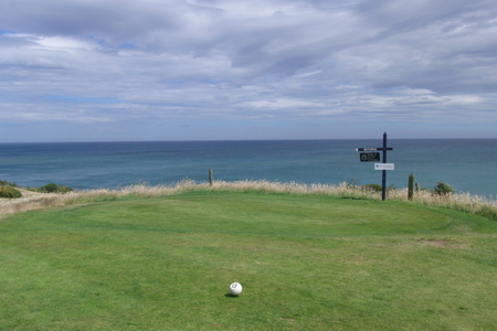 �j���[�W�[�����h�̃S���t��