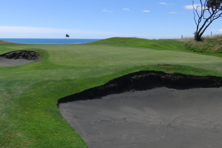 �j���[�W�[�����h�̃S���t��