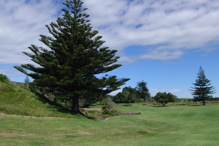 �j���[�W�[�����h�̃S���t��