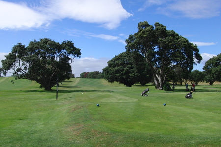 �j���[�W�[�����h�̃S���t��