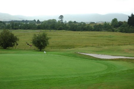 �j���[�W�[�����h�̃S���t��