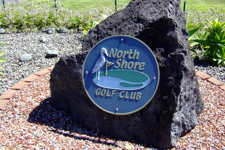 �j���[�W�[�����h�̃S���t��