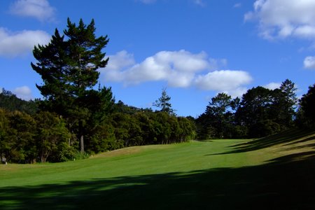 �j���[�W�[�����h�̃S���t��