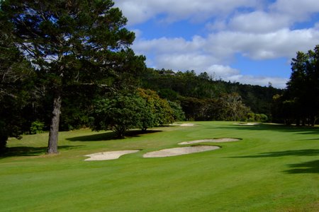 �j���[�W�[�����h�̃S���t��