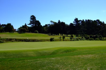 �j���[�W�[�����h�̃S���t��