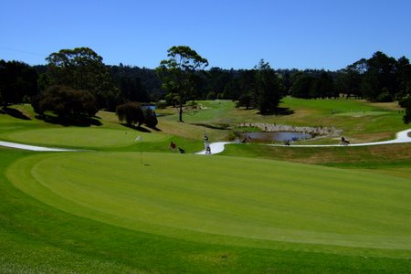 �j���[�W�[�����h�̃S���t��