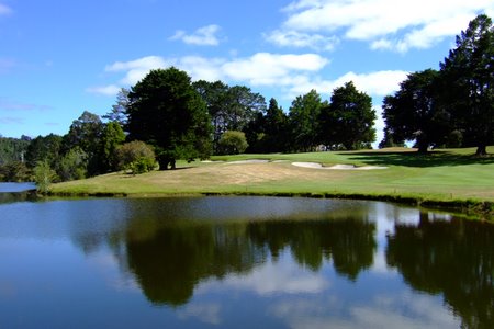 �j���[�W�[�����h�̃S���t��