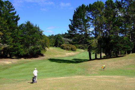 �j���[�W�[�����h�̃S���t��