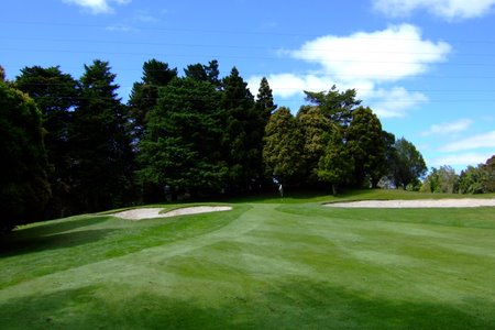 �j���[�W�[�����h�̃S���t��