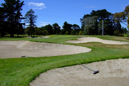 �j���[�W�[�����h�̃S���t��