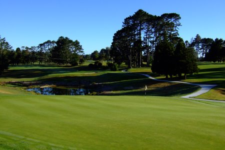 �j���[�W�[�����h�̃S���t��