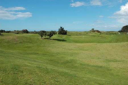 �j���[�W�[�����h�̃S���t��