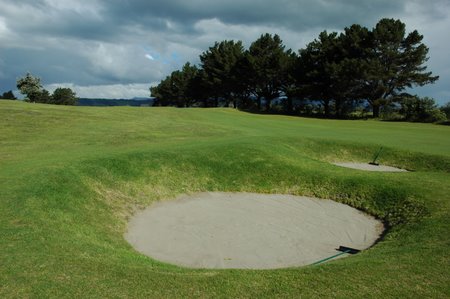 �j���[�W�[�����h�̃S���t��