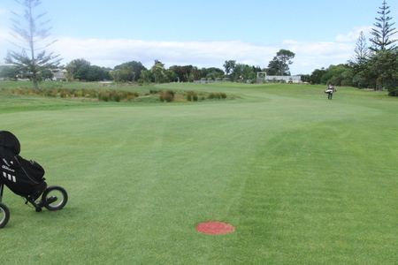 ニュージーランド オマハビーチゴルフ場
