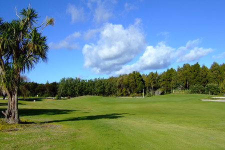 ニュージーランド オマハビーチゴルフ場