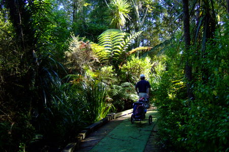 ニュージーランド オマハビーチゴルフ場