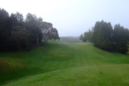 �j���[�W�[�����h�̃S���t��