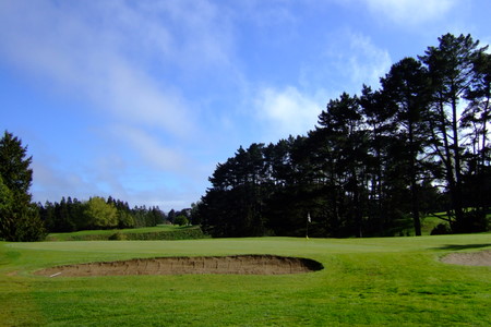 �j���[�W�[�����h�̃S���t��