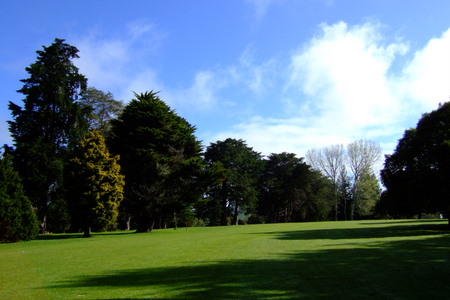 �j���[�W�[�����h�̃S���t��