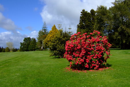 �j���[�W�[�����h�̃S���t��