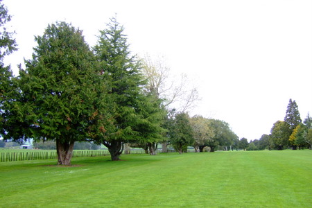 �j���[�W�[�����h�̃S���t��