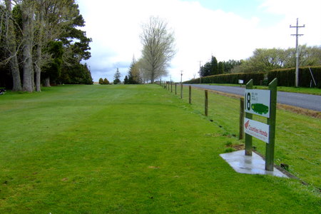 �j���[�W�[�����h�̃S���t��