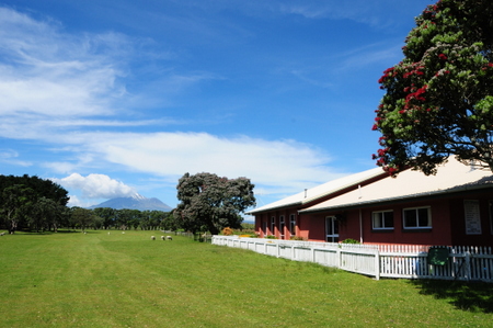 �j���[�W�[�����h�̃S���t��