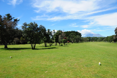 �j���[�W�[�����h�̃S���t��