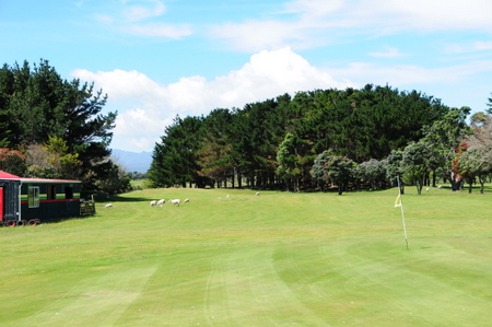 �j���[�W�[�����h�̃S���t��