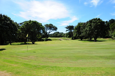 �j���[�W�[�����h�̃S���t��