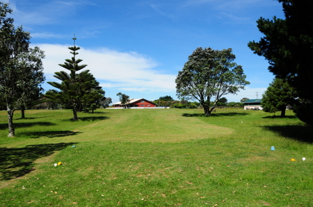 �j���[�W�[�����h�̃S���t��