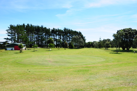 �j���[�W�[�����h�̃S���t��