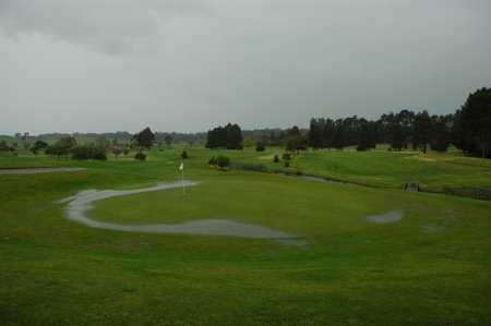 �j���[�W�[�����h�̃S���t��