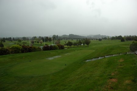 �j���[�W�[�����h�̃S���t��