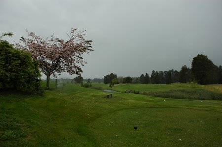 �j���[�W�[�����h�̃S���t��