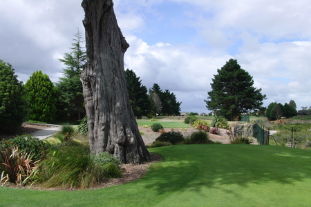 �j���[�W�[�����h�̃S���t��