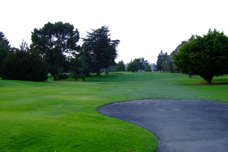 �j���[�W�[�����h�̃S���t��