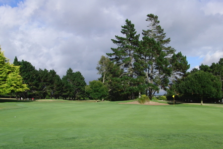 �j���[�W�[�����h�̃S���t��