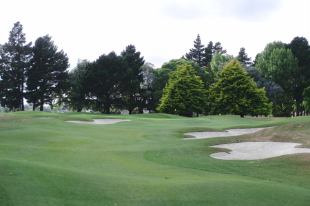 �j���[�W�[�����h�̃S���t��