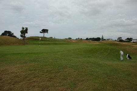 �j���[�W�[�����h�̃S���t��