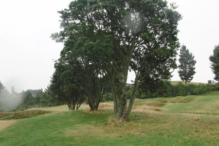 ニュージーランドのゴルフ場