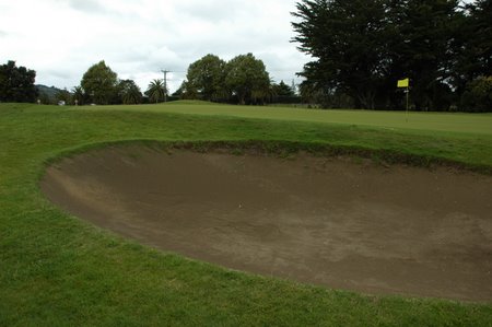 �j���[�W�[�����h�̃S���t��