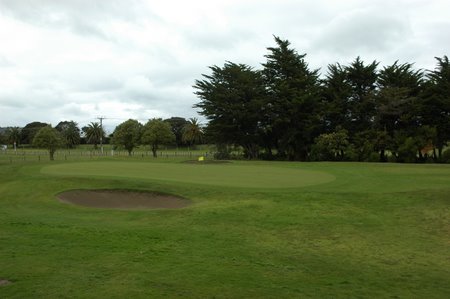 �j���[�W�[�����h�̃S���t��