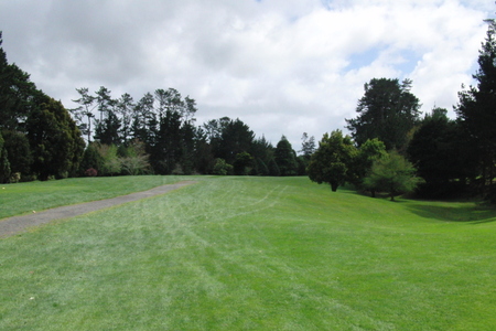 ニュージーランド プケコへゴルフ場