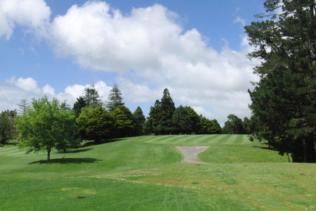 ニュージーランド プケコへゴルフ場