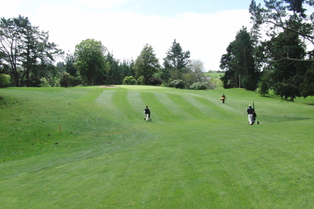ニュージーランド プケコへゴルフ場