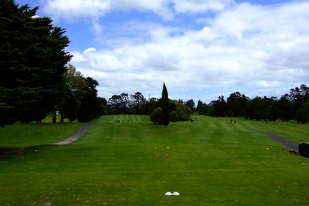 ニュージーランド プケコへゴルフ場