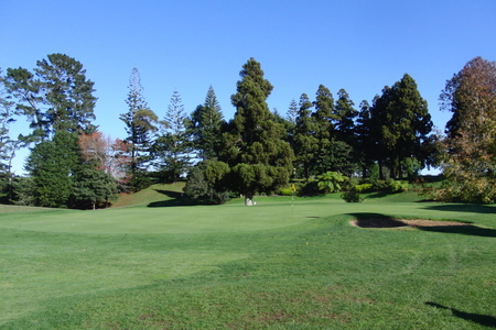 ニュージーランド プケコへゴルフ場