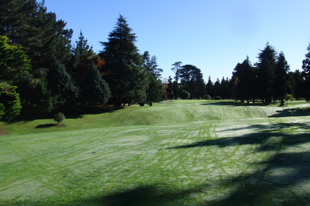 ニュージーランド プケコへゴルフ場